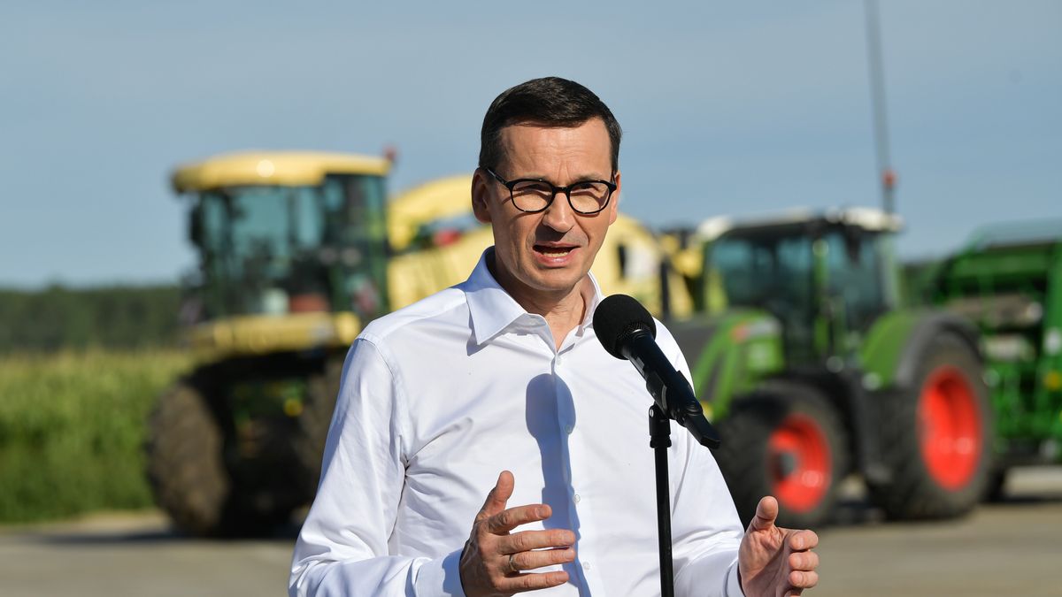 Kózki, 29.07.2022. Premier Mateusz Morawiecki podczas konferencji prasowej w trakcie wizyty w gospodarstwie rolnym w Kózkach (gm. Grębków), 29 bm. Trwa wizyta szefa rządu w województwie mazowieckim. (amb) PAP/Przemysław Piątkowski