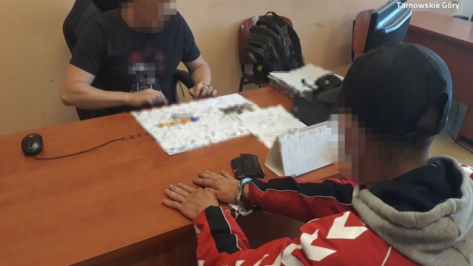 Śląskie. Policja schwytała sprawcę wielu zniszczeń, do których doszło w Tarnowskich Górach od kwietnia.