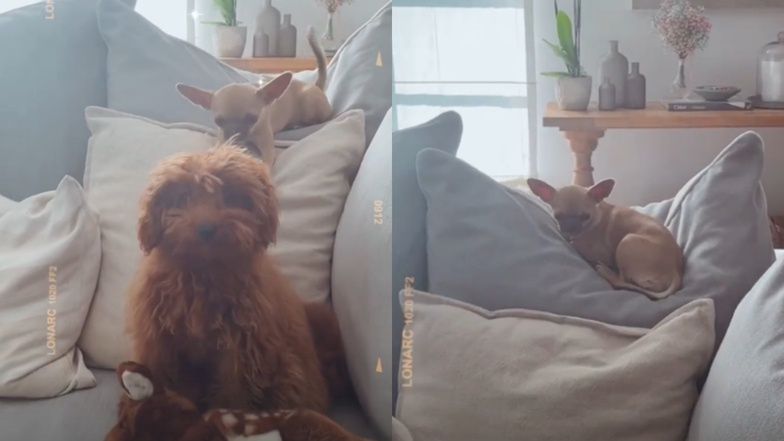 Tak mieszkają Marina i Wojciech Szczęsny