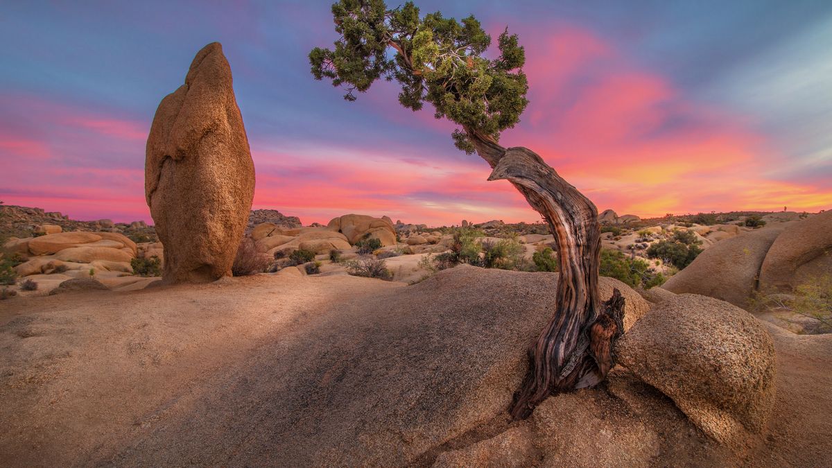 Porzucili dobytek i wyruszyli w świat robić zdjęcia. Teraz żyją pełnią życia 1