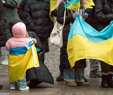 Holandia przygotowuje plan powrotu Ukraińców do domu