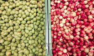 Eksportujemy aż miło. Rekordowy rok polskich producentów żywności