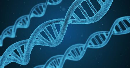 Tyrozynemia – przyczyny, typy, objawy i leczenie