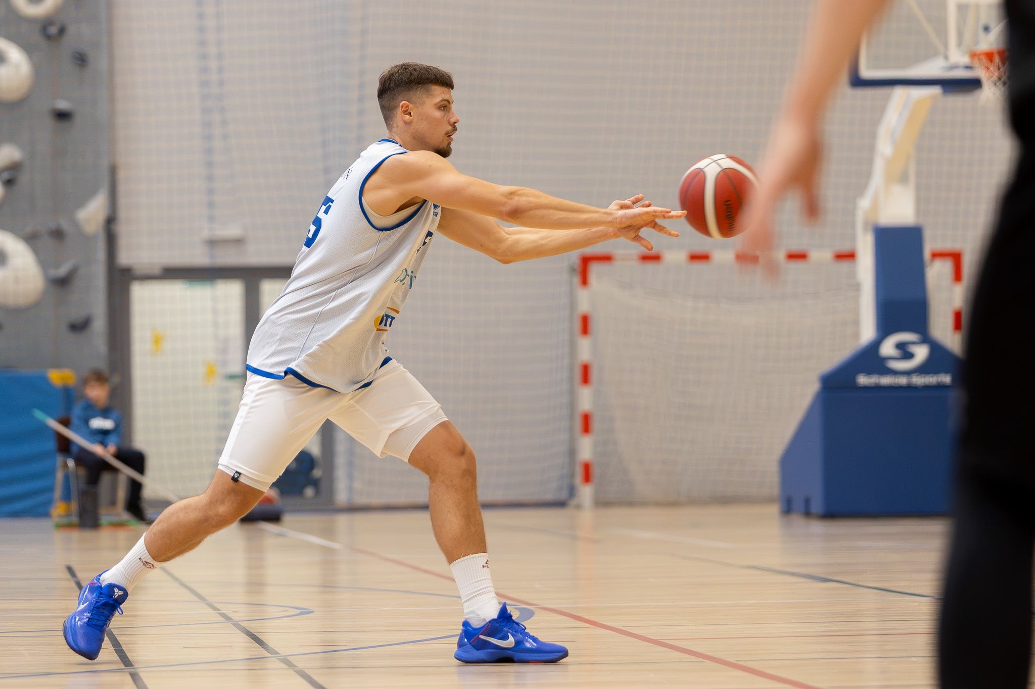 Twarde Pierniki - Trefl Sopot