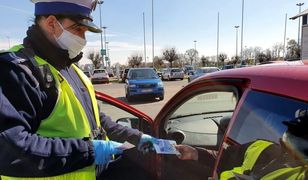 Nowy taryfikator. 15 punktów za nieustąpienie pieszemu i mandaty do 5 tys. zł