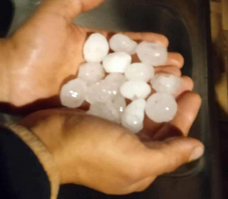 Grad w miejscowości Jawidz koło Lublina