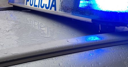"Studia na papierze, praca na czarno". Policja i Straż Graniczna rozbiły gang fałszywych studentów – 6 aresztowań, blisko 200 cudzoziemców do deportacji