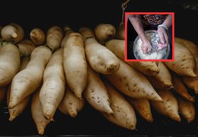 Kiedyś Polacy się zajadali, dziś nie doceniają. Kup, a nie pożałujesz