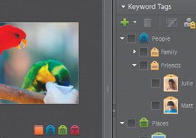 Adobe Photoshop Elements 6 jest po polsku! 2