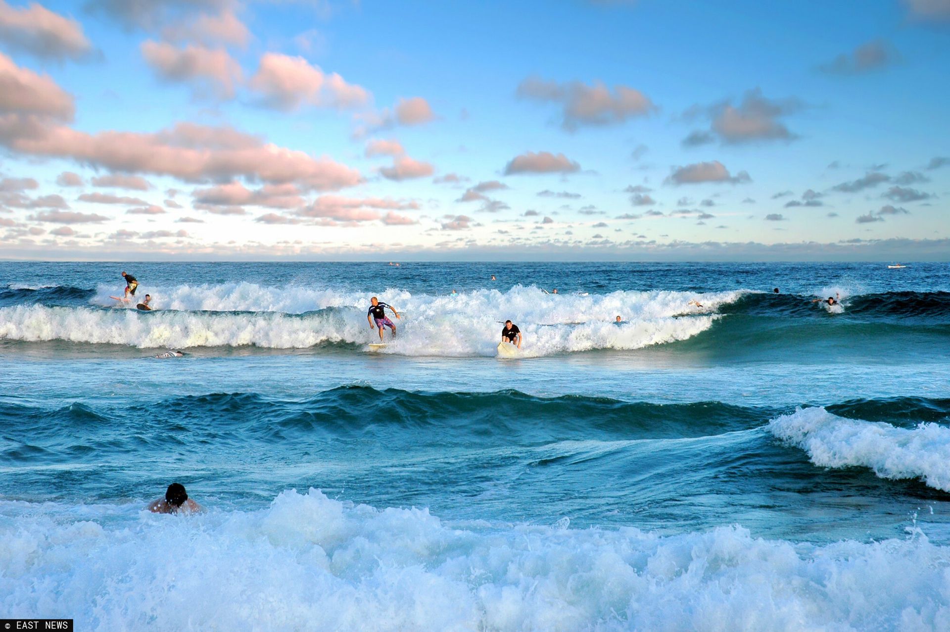 wiadomości,aktualności,WP Wiadomości Krwawa seria w Sydney. Trzy ataki rekinów w 48 godzin