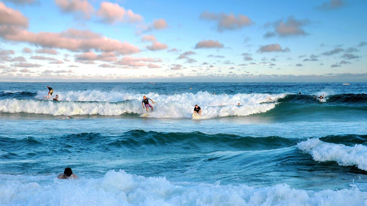 Sydney zamyka plaże po trzech atakach rekinów w 48 godzin.