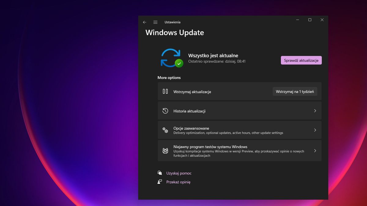 Windows 11 i Windows Update