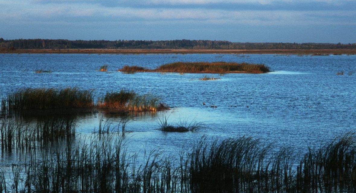 Zalew Siemianówka