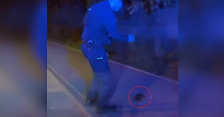 Wideo policjantów z Sopotu hitem sieci. "Jeżysław postanowił zaakcentować swoją obecność"