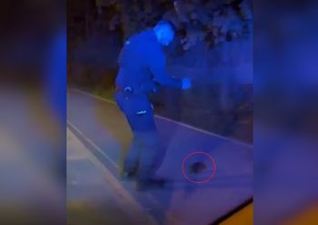 Wideo policjantów z Sopotu hitem sieci. "Jeżysław postanowił zaakcentować swoją obecność"
