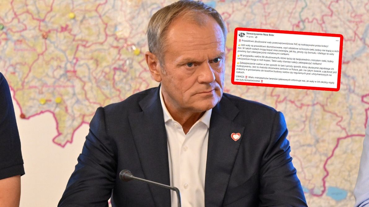 Donald Tusk chce walczyć z bobrami