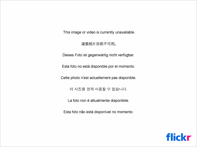 Odbicia i refleksy - inspiracje [galeria] 3