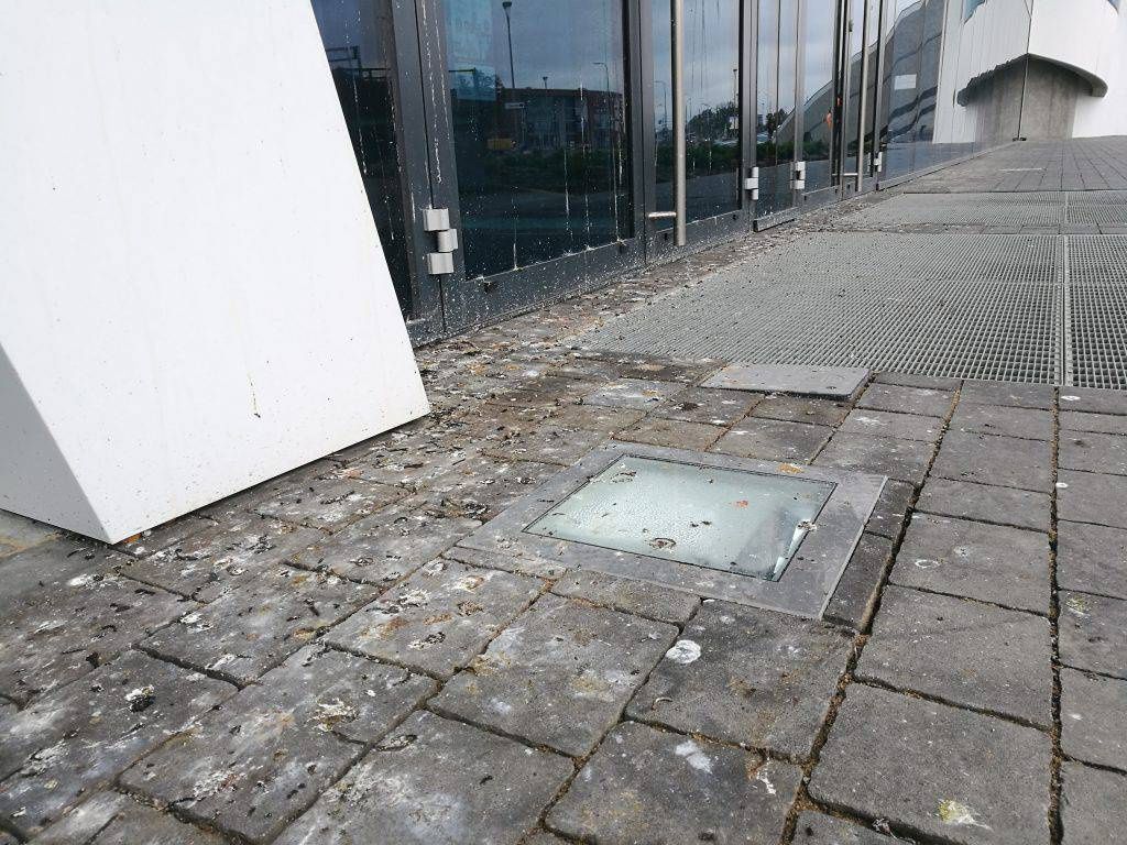 aqua lublin gołębie