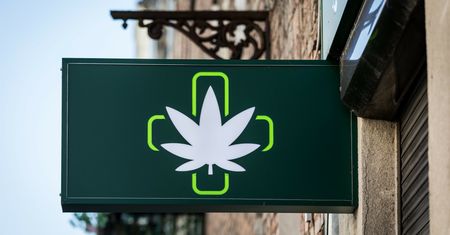 Rząd nie zdąży uzdrowić rynku e-recept. Medyczna marihuana dostępna ot tak