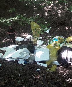 Polskie lasy toną w śmieciach. Jest coraz gorzej