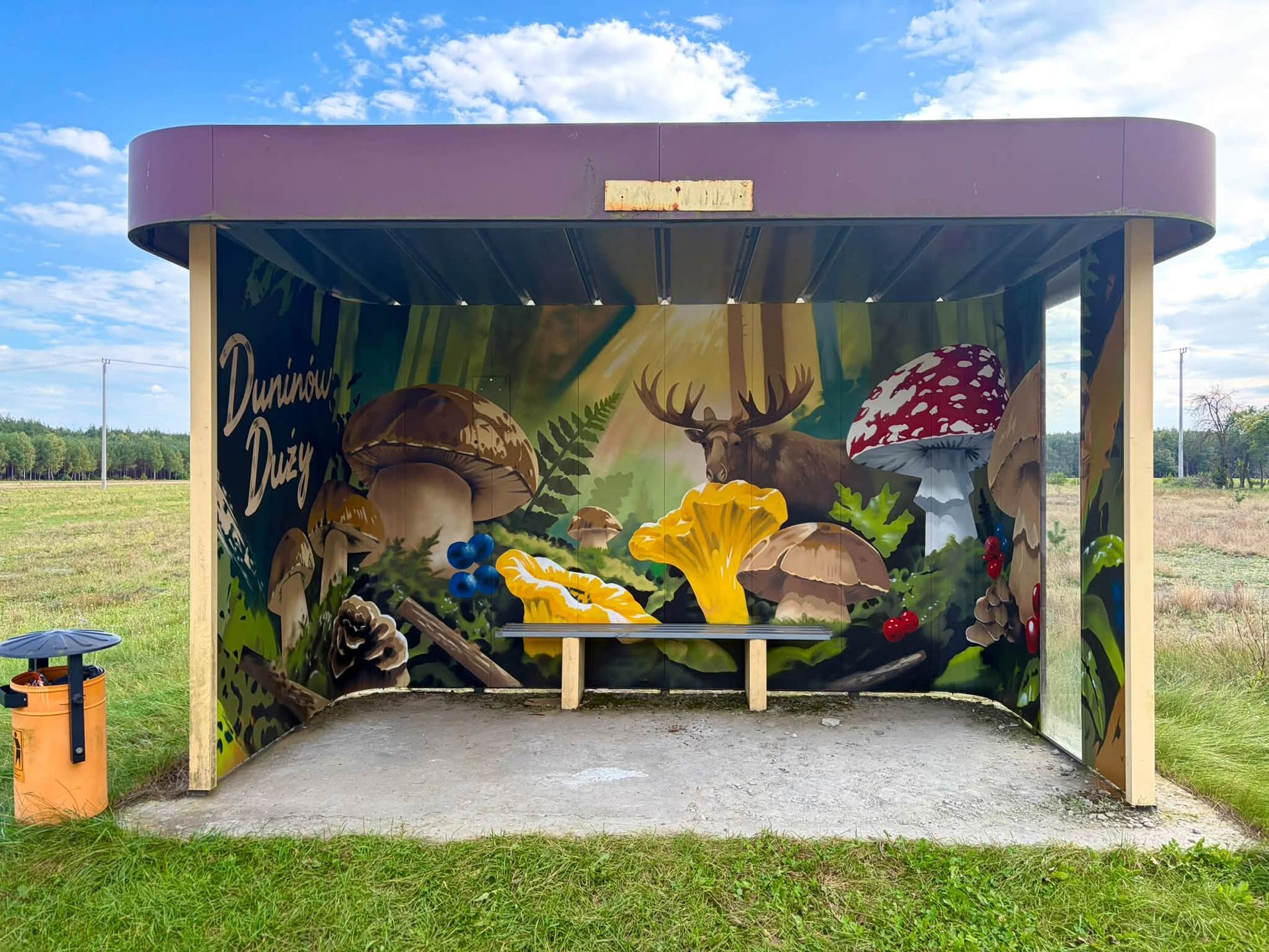 Murale na przystanku w Gminie Nowy Duninów 
