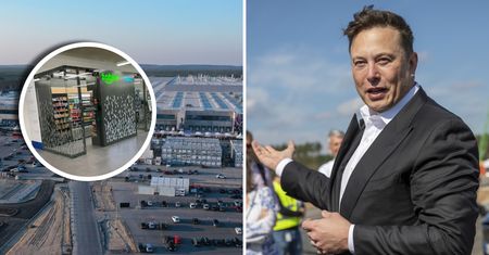 Żabka w gigafabryce Tesli pod Berlinem. Sieć się nią nie chwali. Dlaczego?