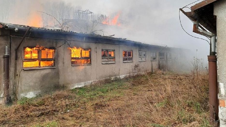 Suchorze. Pożar na fermie świń. Trwa liczenie strat