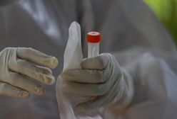 Koronawirus. Poznańscy naukowcy stworzyli nowy test na SARS-CoV-2