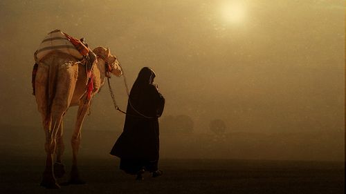 Wszyscy jesteśmy terrorystami? BlackBerry zakazane w następnym kraju 1