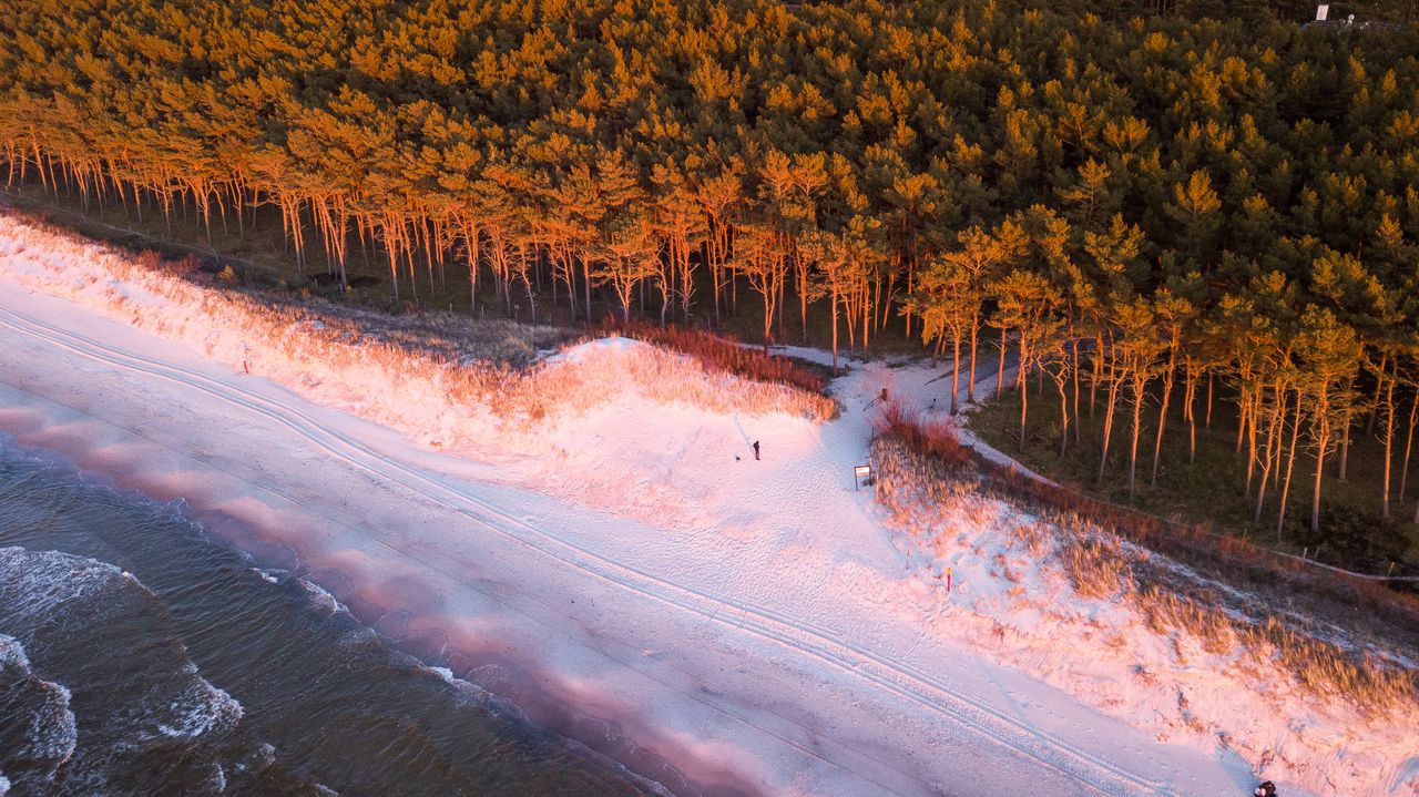 Nadmorska perła tuż przy plaży. Poznaj wyjątkowe miejsce na mapie Mrzeżyna