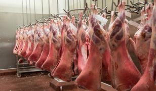 Uważaj na witaminę B12. To powszechne przekonanie, ale błędne