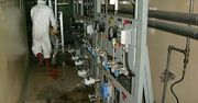 Śmierć w Fukushimie - nie żyje pracownik elektrowni