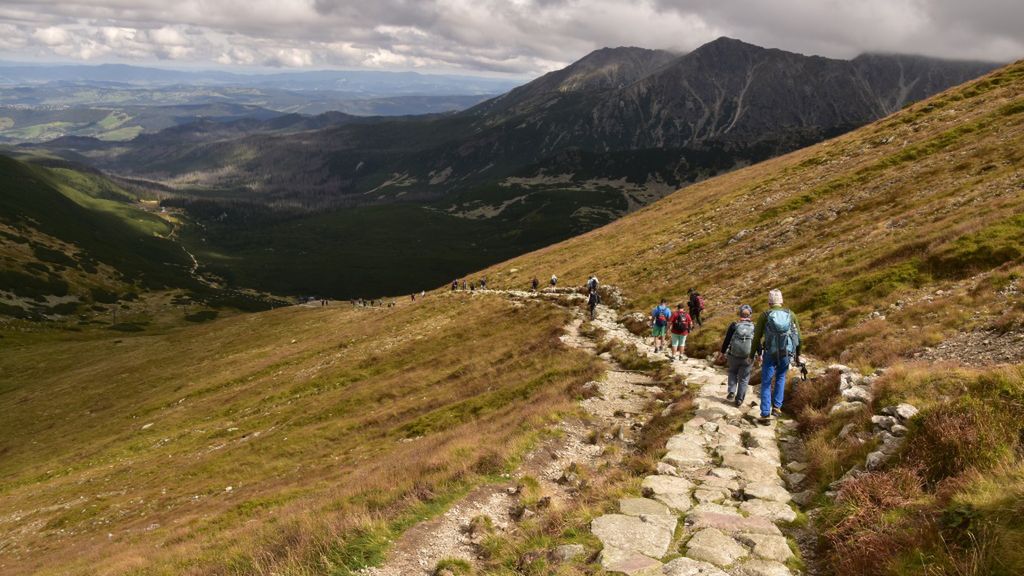Oglądaj na żywo wystąpienia na scenie poświęconej społeczeństwu.