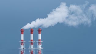 Ekolodzy alarmują w sprawie Elektrowni Kozienice. Towarzystwo na rzecz Ziemi twierdzi, że uśmierca miliony ryb. Państwo zareagowało