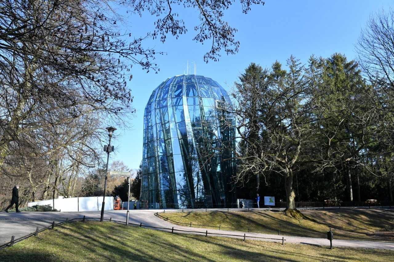 Trójmiasto się doczekało. Otwarcie palmiarni z ponad 4-letnim poślizgiem