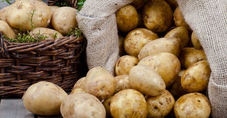 Masz taki problem z ziemniakami? Sprawdź ten prosty trik. Jest bardzo skuteczny