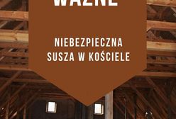 Dolny Śląsk. Uwaga, susza grozi zabytkom