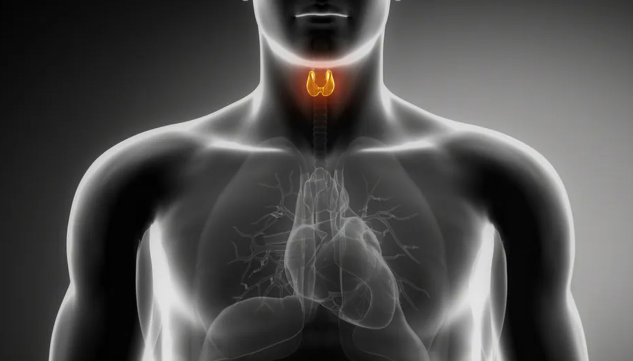 Objawy chorób tarczycy. Nie ignoruj