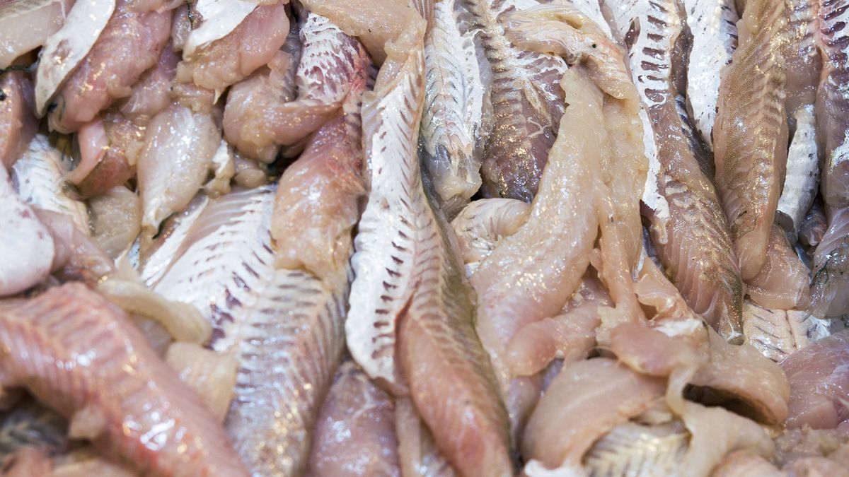 Ryby, które zawierają najwięcej rtęci i dioksyn