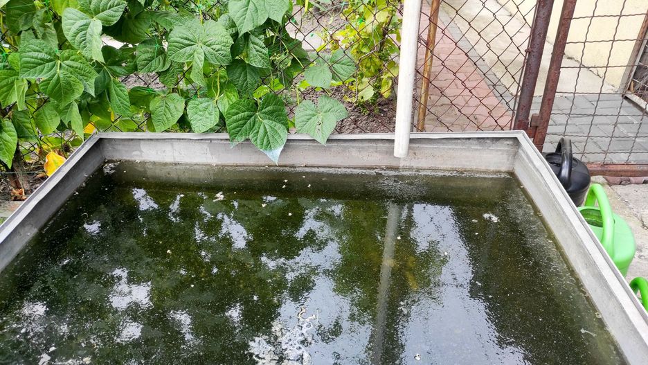 Poznań rusza z dofinansowaniami na gromadzenie deszczówki