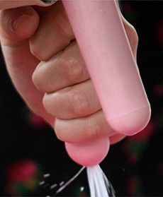 Wybory Najśwarniejsej Góralecki