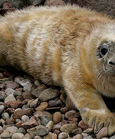 Jak minął tydzień w Polsce