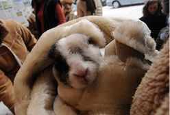 To zdarzyło się w Polsce!