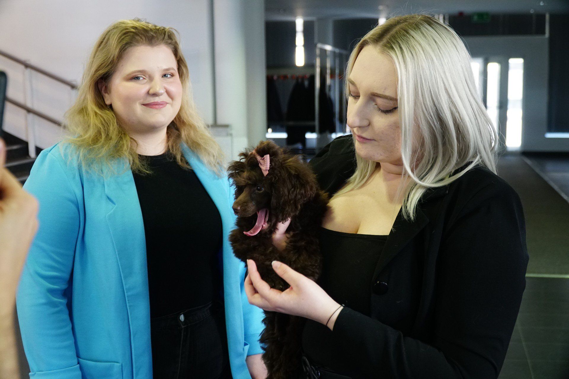 Międzynarodowe Wystawy Psów Rasowych