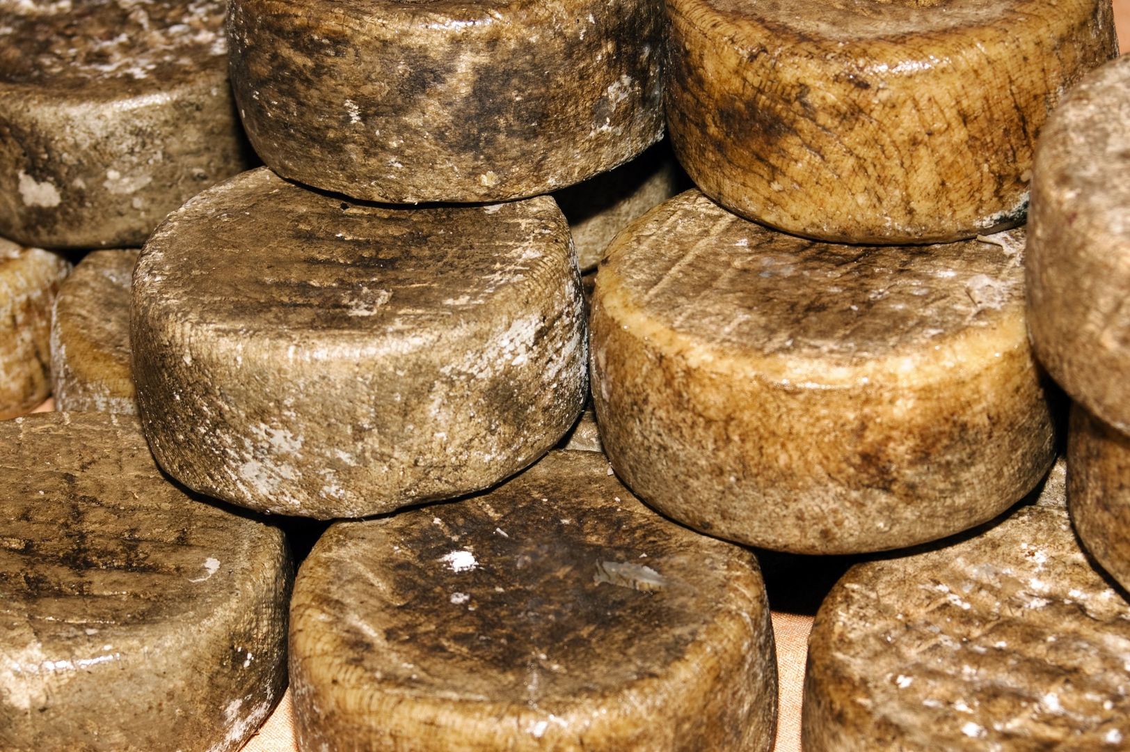 Ser manchego