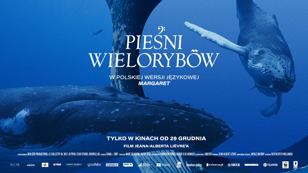 "Pieśni wielorybów" w kinach od 29 grudnia