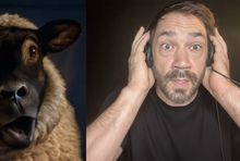 Zbuntowane owce w reklamie Senaminy