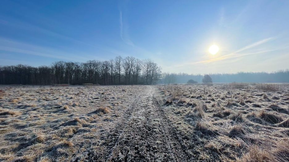 pogoda las zima wschód słońca