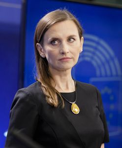 Sikorski starł się z Sakiewiczem. Spurek reaguje na słowa o "wieprzu"