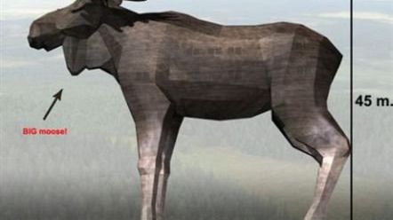 Szwedzi zbudują największego na świecie łosia? 1